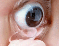 1761617968327d5a500fe60bef524