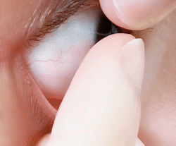 17616180046943827dcdeb3592b74